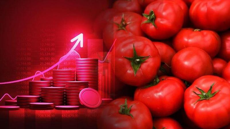 Tomato prices surge