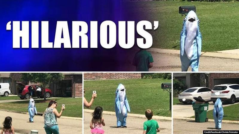 Good News: Little boy dons 'baby shark' attire to escape lockdown