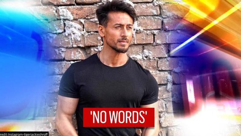 'No words':Tiger Shroff fumes at incident of men setting elephant on fire, demands laws