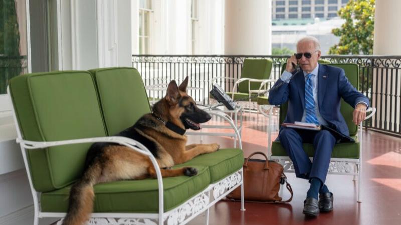 US Biden Dog Commander 