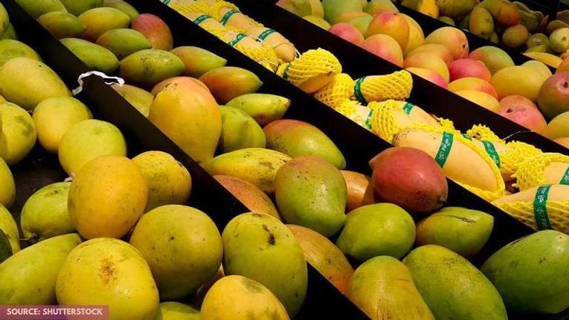 international mango festival day history