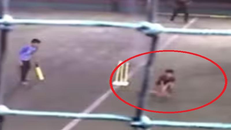 11-Year-Old Dies While Playing Cricket Match