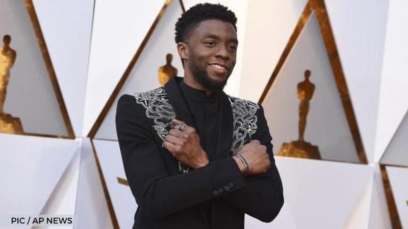 Black Panther Chadwick Boseman