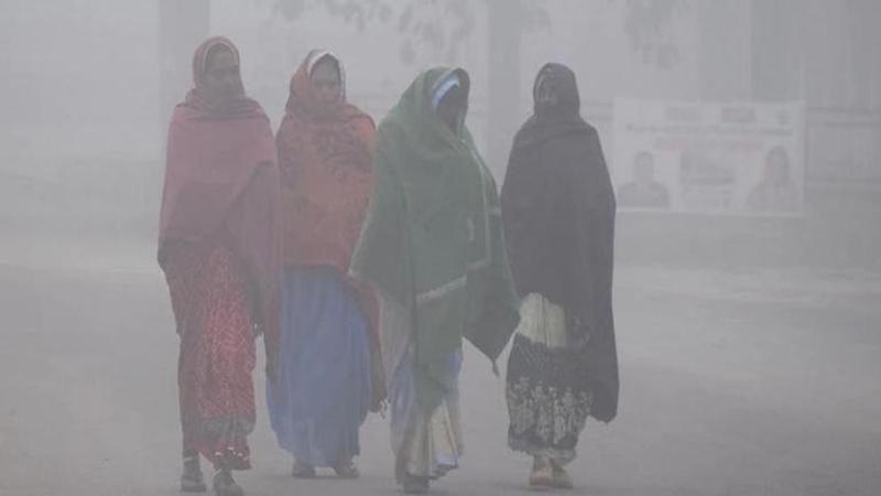 cold wave in india, imd update on cold wave