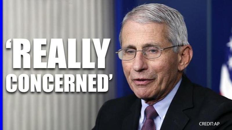 anthony fauci