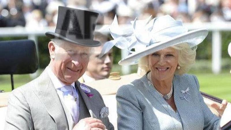 UK: Prince Charles says he's lucky after recovering from coronavirus