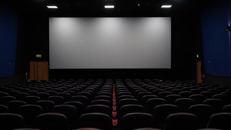 Movie Theatres In Maharashtra To Live Screen Lok Sabha Election Results