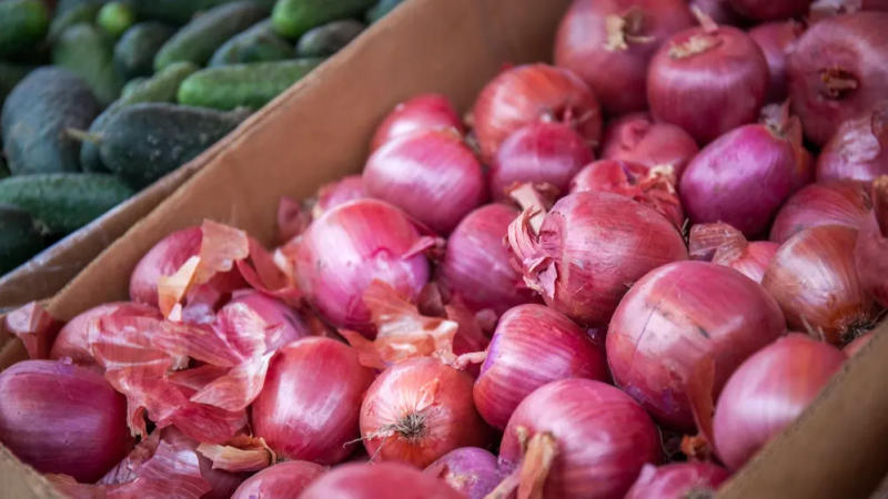 Govt allows traders to export onion to 4 countries