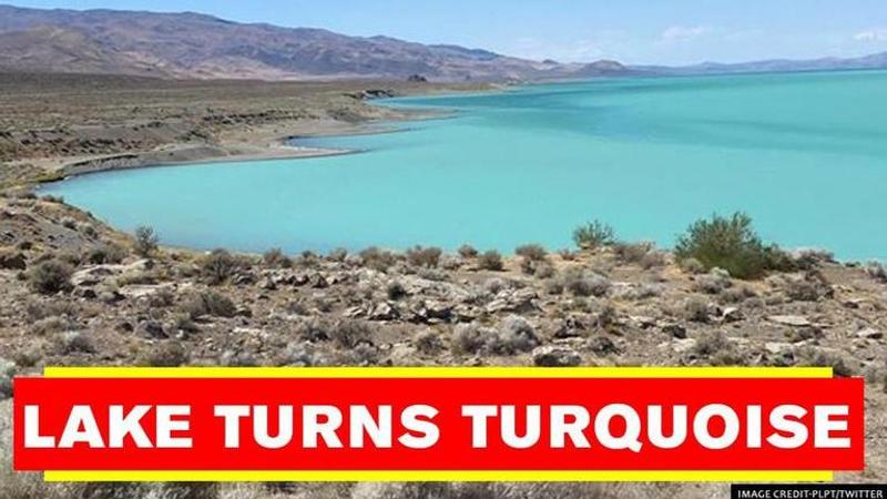 Lake in Nevada turns into 'unique shade of turquoise' due to poisoning