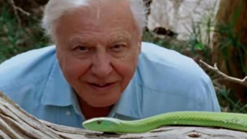 david attenborough: a life on our planet