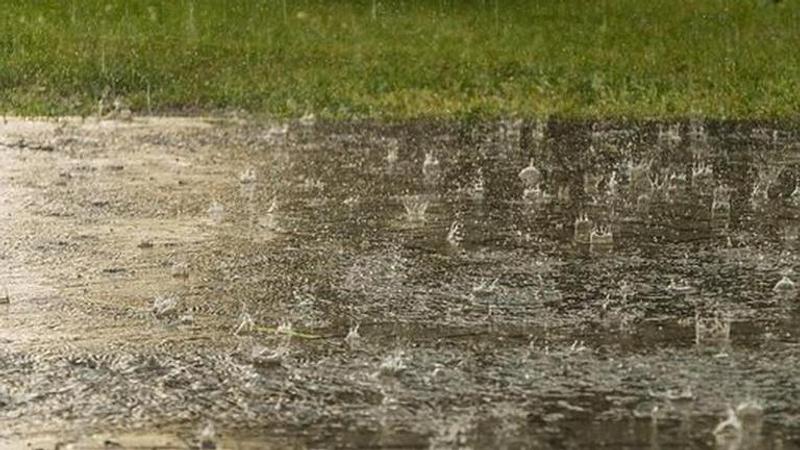 Several low-lying areas of Thane and Palghar districts of Maharashtra were inundated as heavy rains continued to lash the regions since Tuesday night, a district official said on Wednesday.