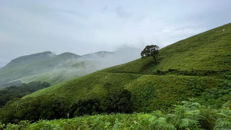 Explore The Charm Of Spring By Visiting These Places In India