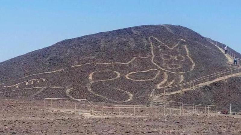 cat etching in peru