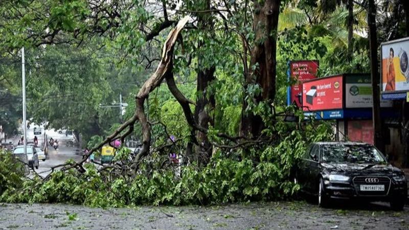 Namma Metro: Tree branch falling on the metro tracks just after Trinity Station towards MG road