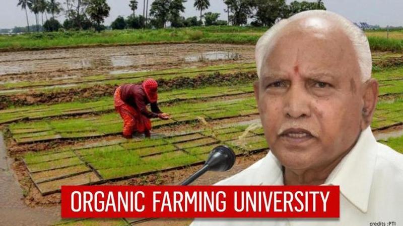 organic farming