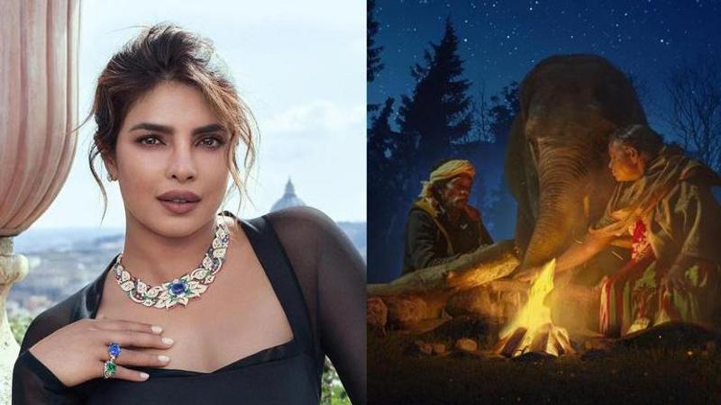 Priyanka Chopra and The Elephant Whisperers