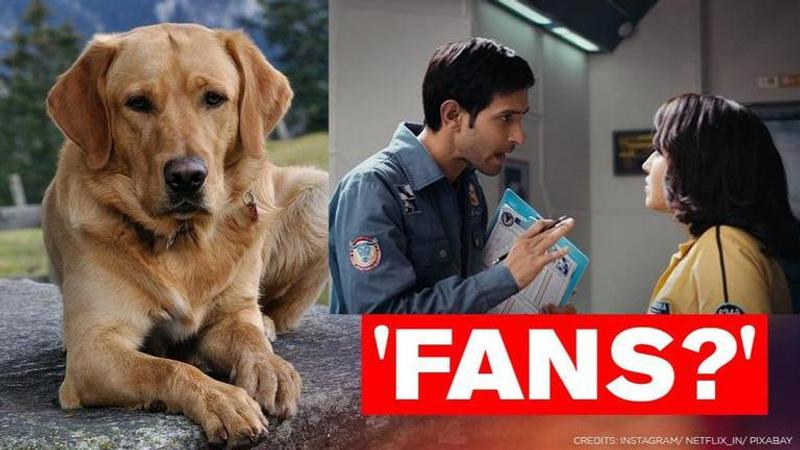 Netflix takes a jibe at 'less famous' dog owners in its latest post