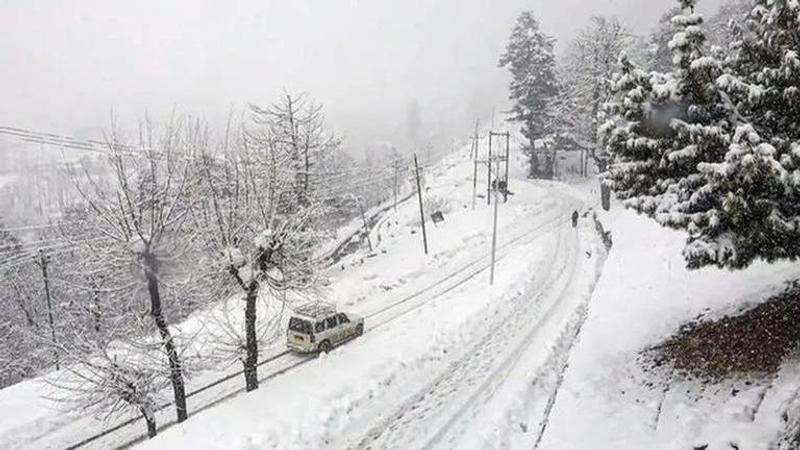 Shimla