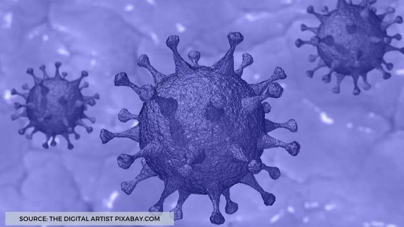 countries where coronavirus has not spread