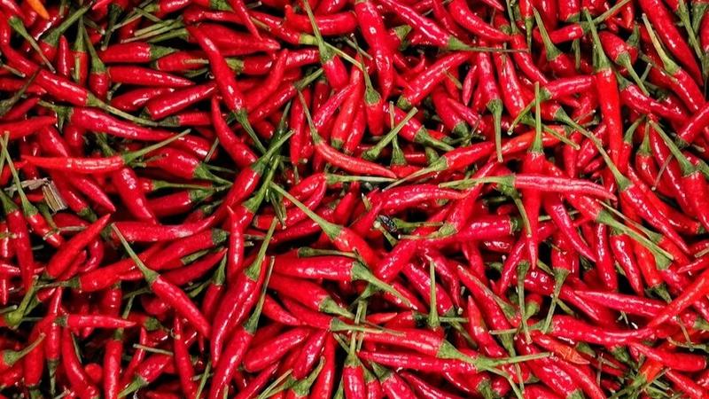 Red chilli