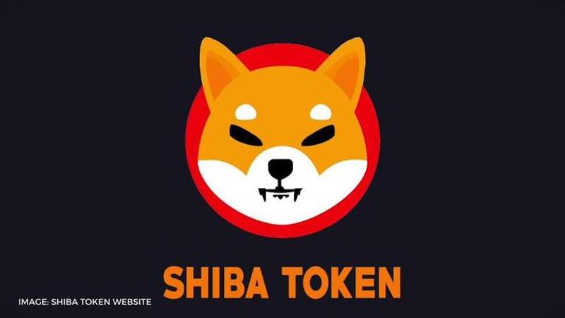 shiba inu coin