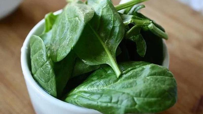 Spinach an excellent alternative to platinum in fuel cells