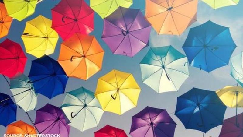Umbrella Cover Day history