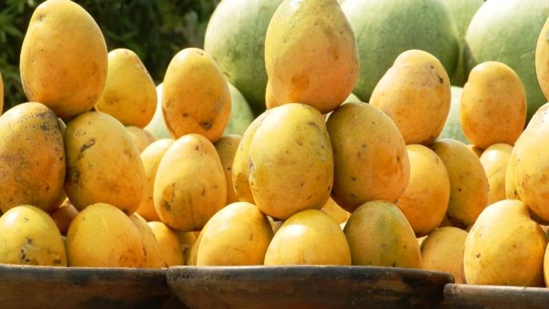 Mangoes 