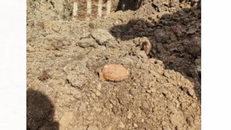  Two hand grenades were discovered on Monday in Pune, where metro construction work is underway