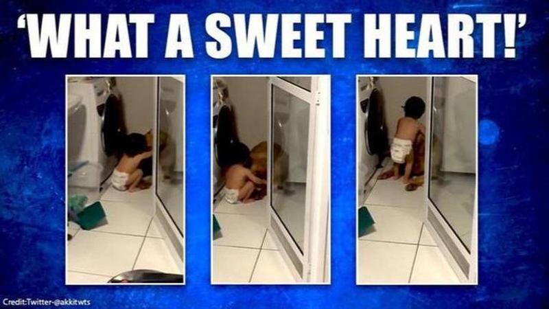 Video of toddler comforting dog hits internet, netizens call it 'true love'