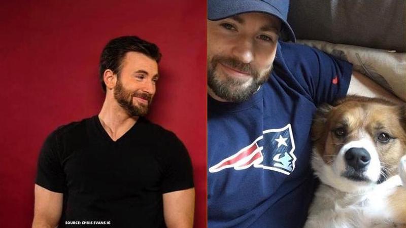 chris evans