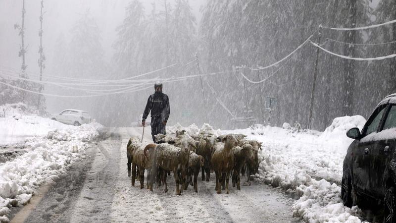 A shepherd from Rajouri has been booked for misleading local police with a fake abduction story. 