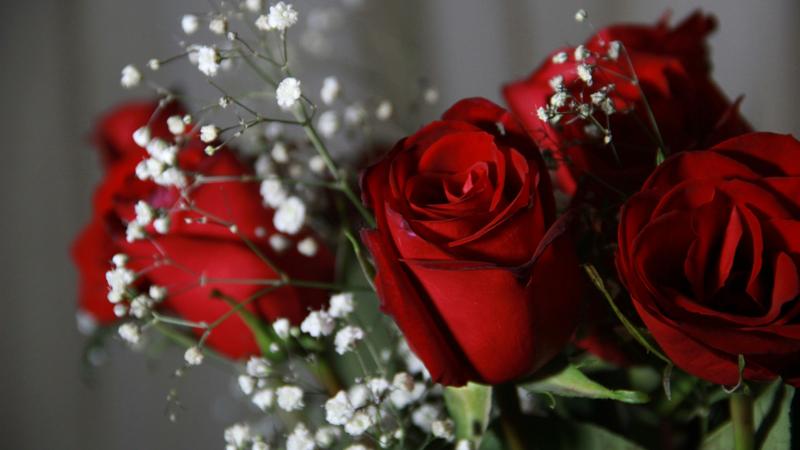 Significance of different roses