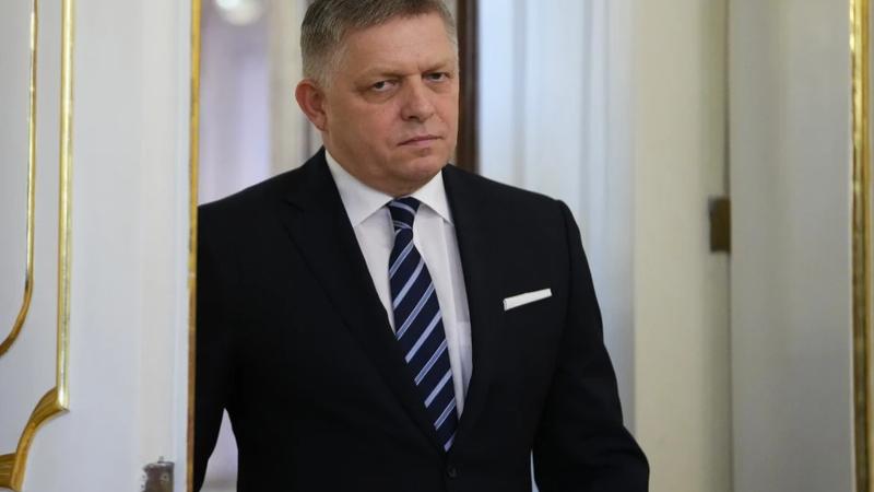 Slovakia's populist, pro-Russia PM Fico has been shot at.  