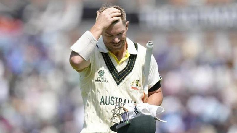 David Warner, 5th Ashes Test