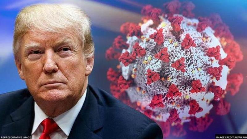 US Coronavirus adviser says 'herd immunity is not Trump policy'