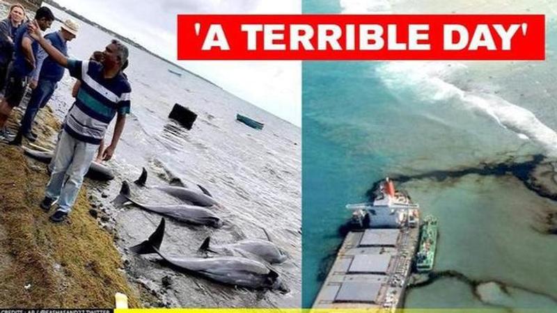 Mauritius oil spill