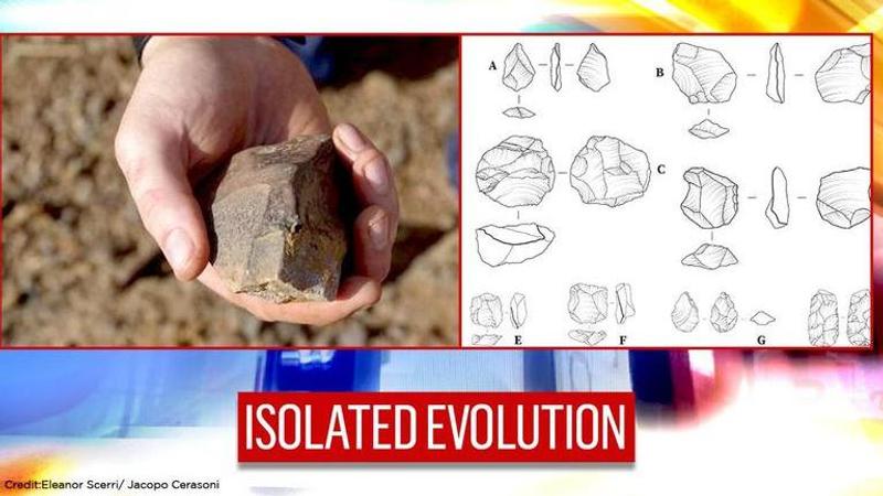 Finds from Stone Age reveal that humans did not evolve uniformally | Read