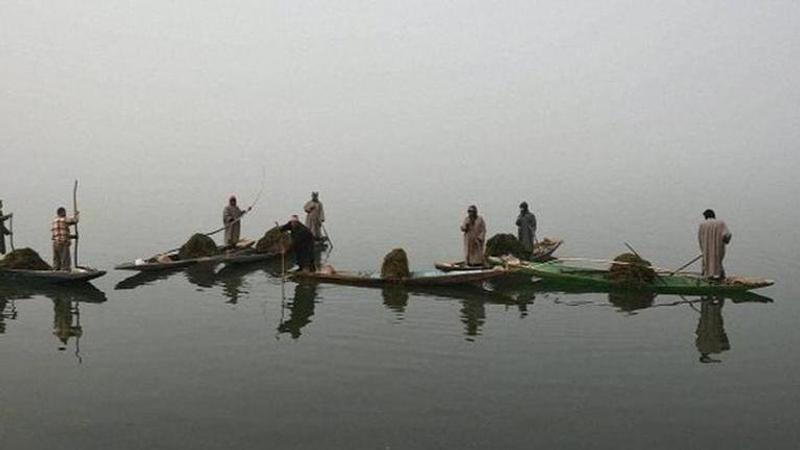 Dal Lake