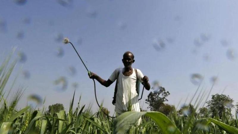 Farmers can buy seeds, fertilisers during curfew relaxation period in HP's Kangra