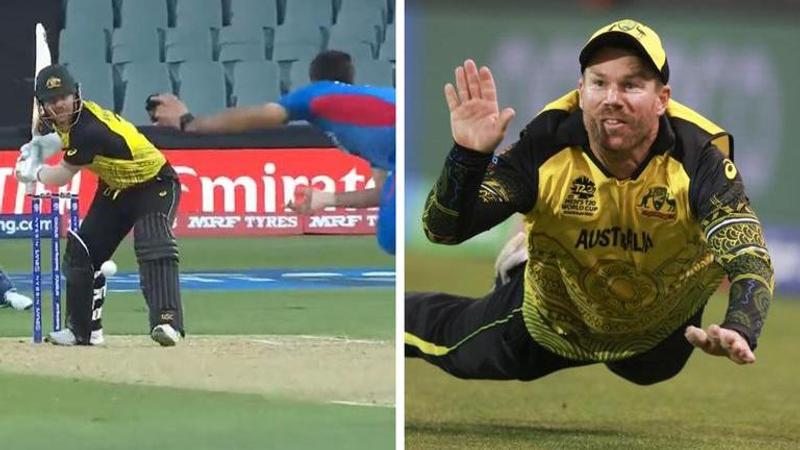 David Warner, Naveen-ul-Haq, Australia vs Afghanistan, AUS vs AFG, T20 World Cup, David Warner batting, David Warner switch hit