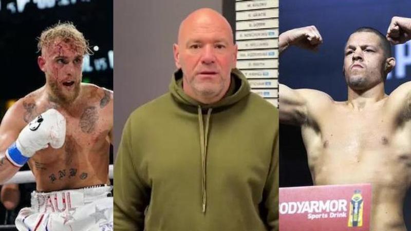 Dana White acknowledges Nate Diaz-Jake Paul hype but claims the bout is 'not my thing'