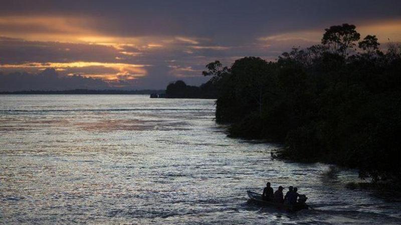 European investors warn Brazil ambassadors about rising Amazon deforestation