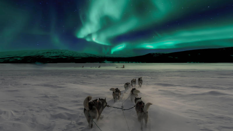 Why 2024 Is The Best Year To Witness Northern Lights