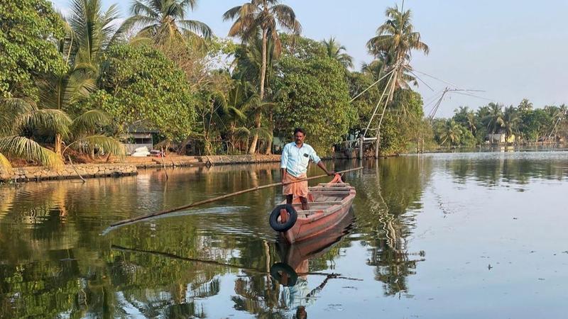 Mass fish death in river Periyar Kerala