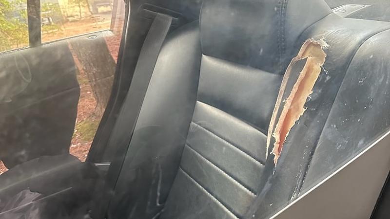 The woman chew on the back seat cushion following an arrest, cops said.