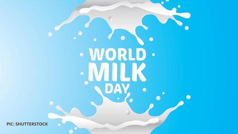 World milk day quotes