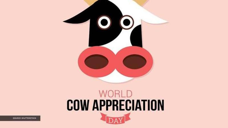 cow appreciation day messages