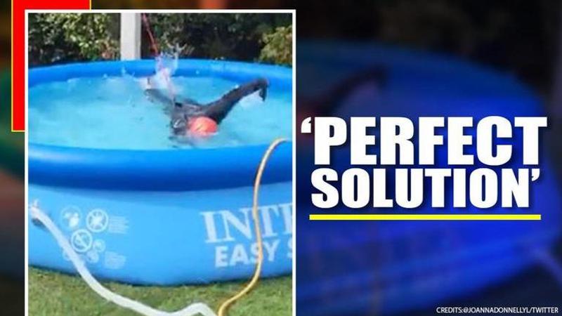 Ireland: Woman uses bungee to swim, netizens call it 'genius'