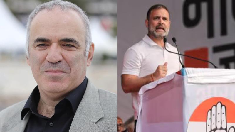 'Hope My Little Joke Doesn't Pass Expertise in Politics': Kasparov After Post on Rahul Goes Viral  